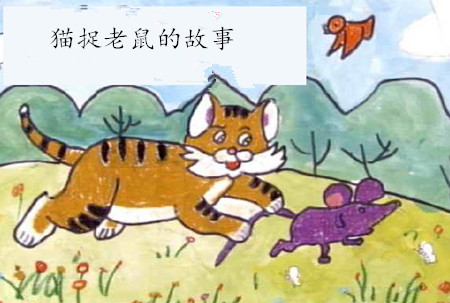 猫捉老鼠的故事 猫捉老鼠的故事