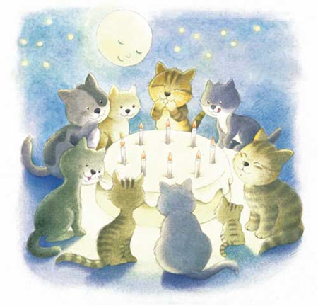野猫过生日的故事 野猫过生日的故事