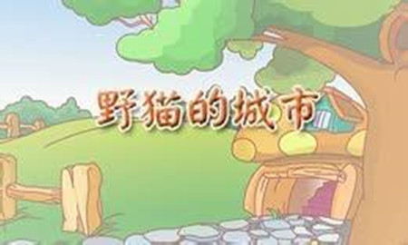 野猫的城市故事 野猫的城市故事