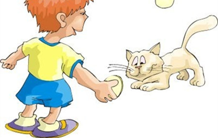 野猫和男孩的故事 野猫和男孩的故事