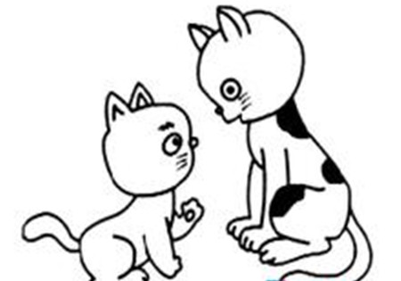 小猫皮皮的故事2 小猫皮皮的故事2