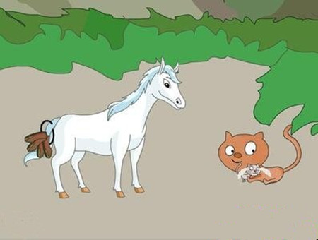 小猫和小马的故事 小猫和小马的故事
