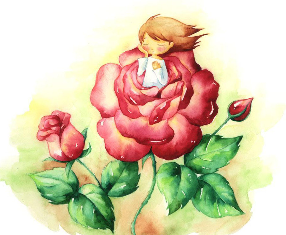 玫瑰花的抱怨的故事1