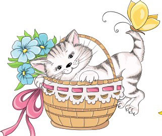 小懒猫的故事1