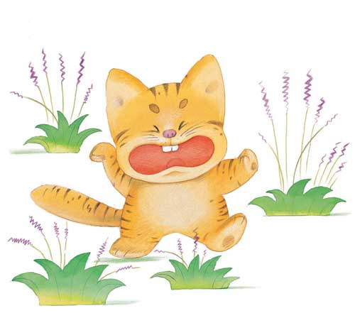 骄傲的小猫的故事1