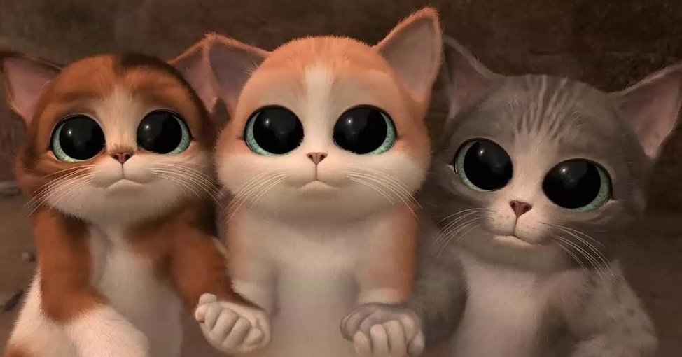 三只小猫和一只红气球的故事2